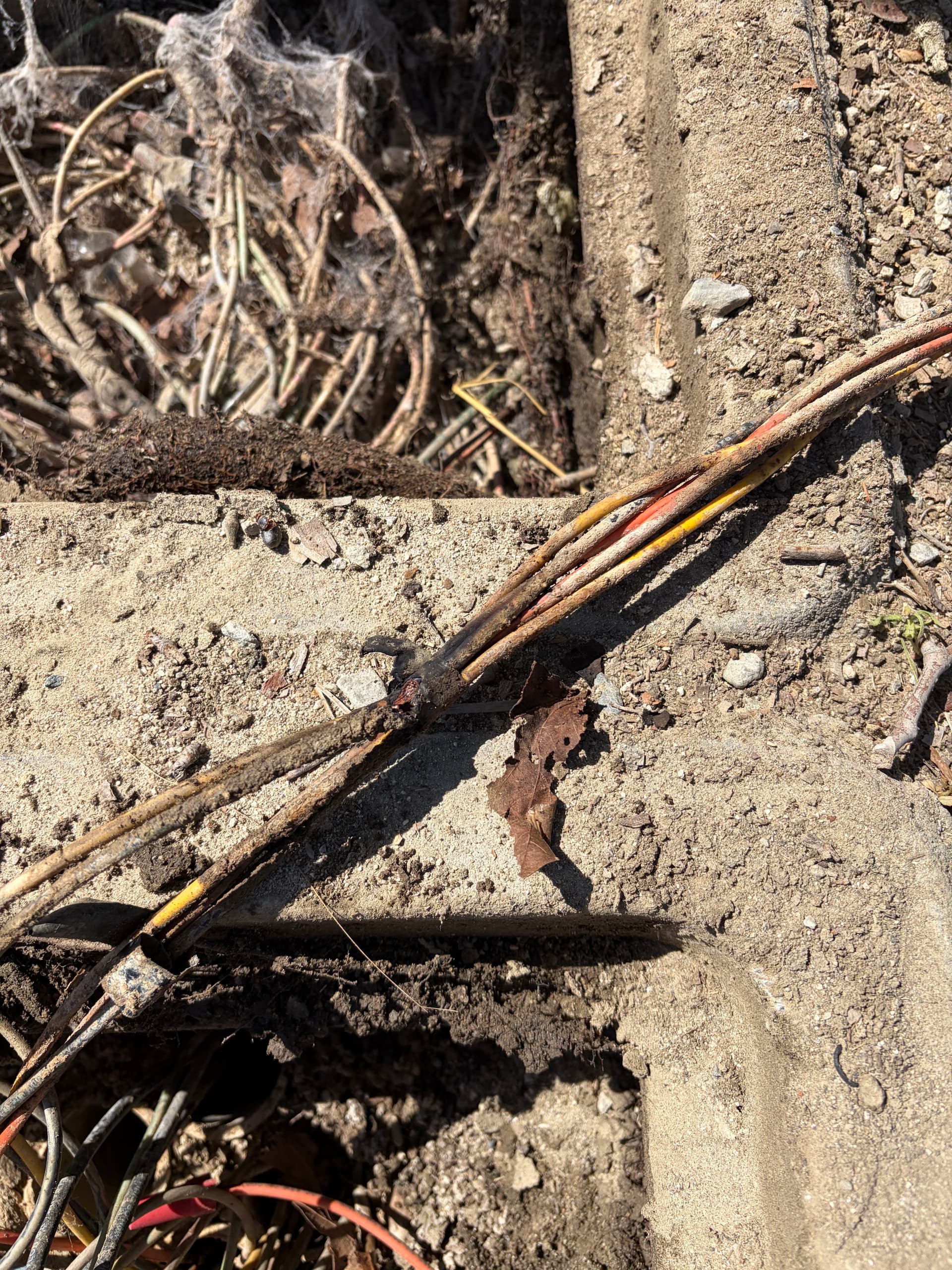 Gallery photos for Burned Underground Conductor Found on San Bernardino Troubleshooting Call: Image #6