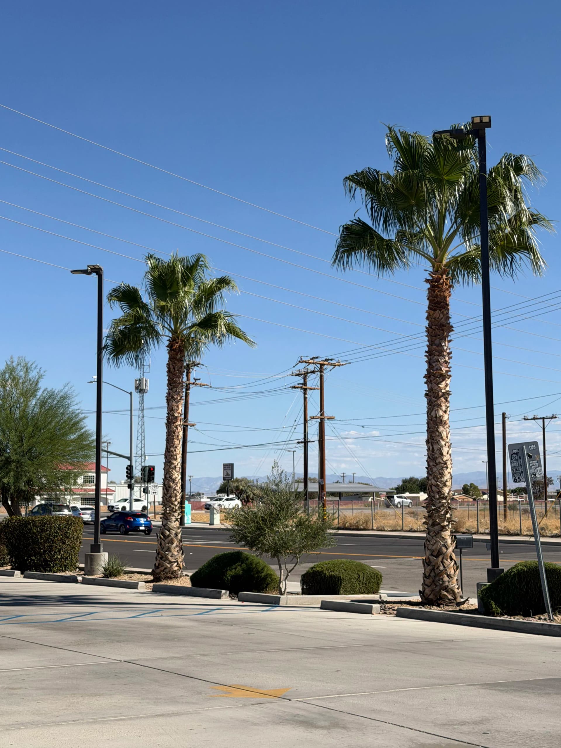 Gallery photos for Parking Lot LED Light Upgrade at June's Market in Adelanto: Image #3